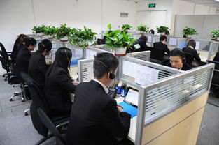 上海港茗投资管理 专业图册咨询引领投资新视野